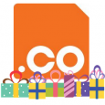 .co domain birthday logo