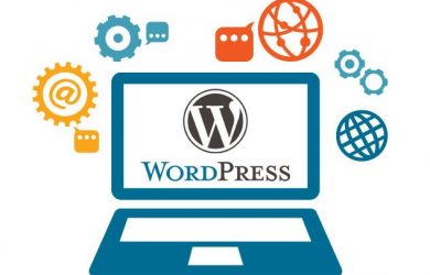 12 Reasons why Entrepreneurs Need To Utilize WordPress for their online business